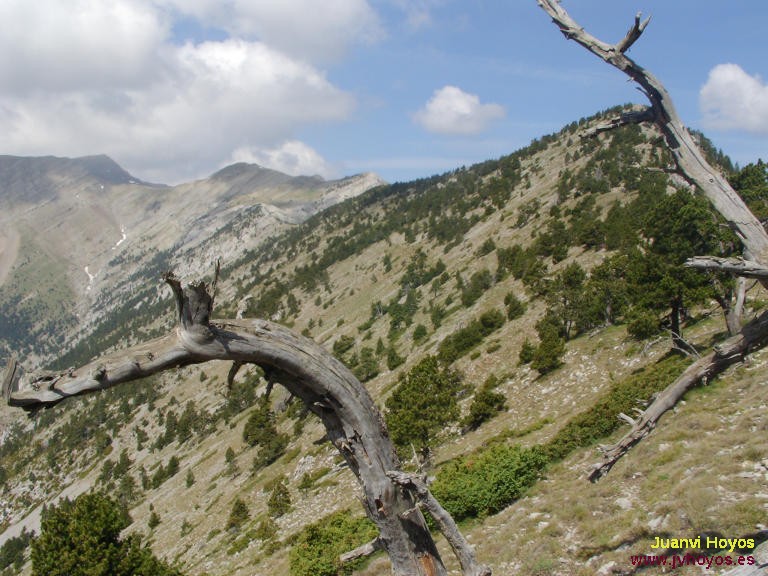 127/167 - 20060611-1115_S7012-SerratMuga   (768x576, 114kB)