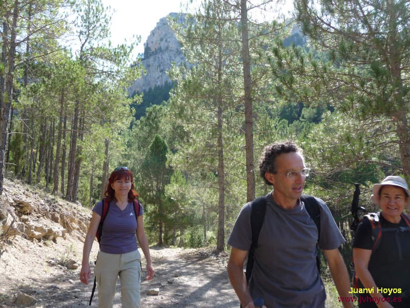 62/85 - 20091004-1507_JV0475_Olmedilla   (800x600, 133kB)