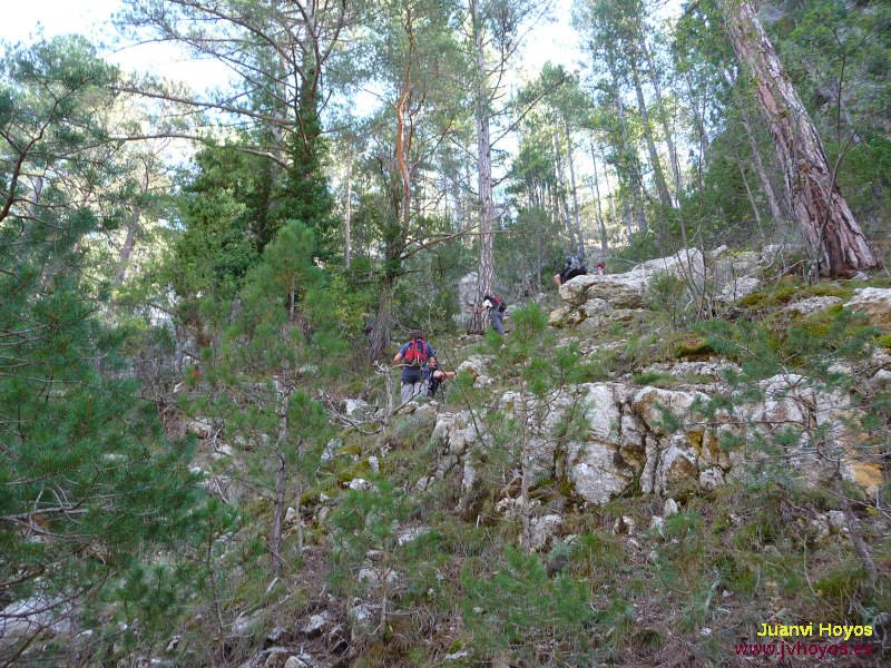 78/85 - 20091004-1642_JV0497_Olmedilla   (800x600, 150kB)