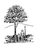 Por los bosques tropicales